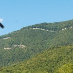 cropped-TOUVET-white1.jpg